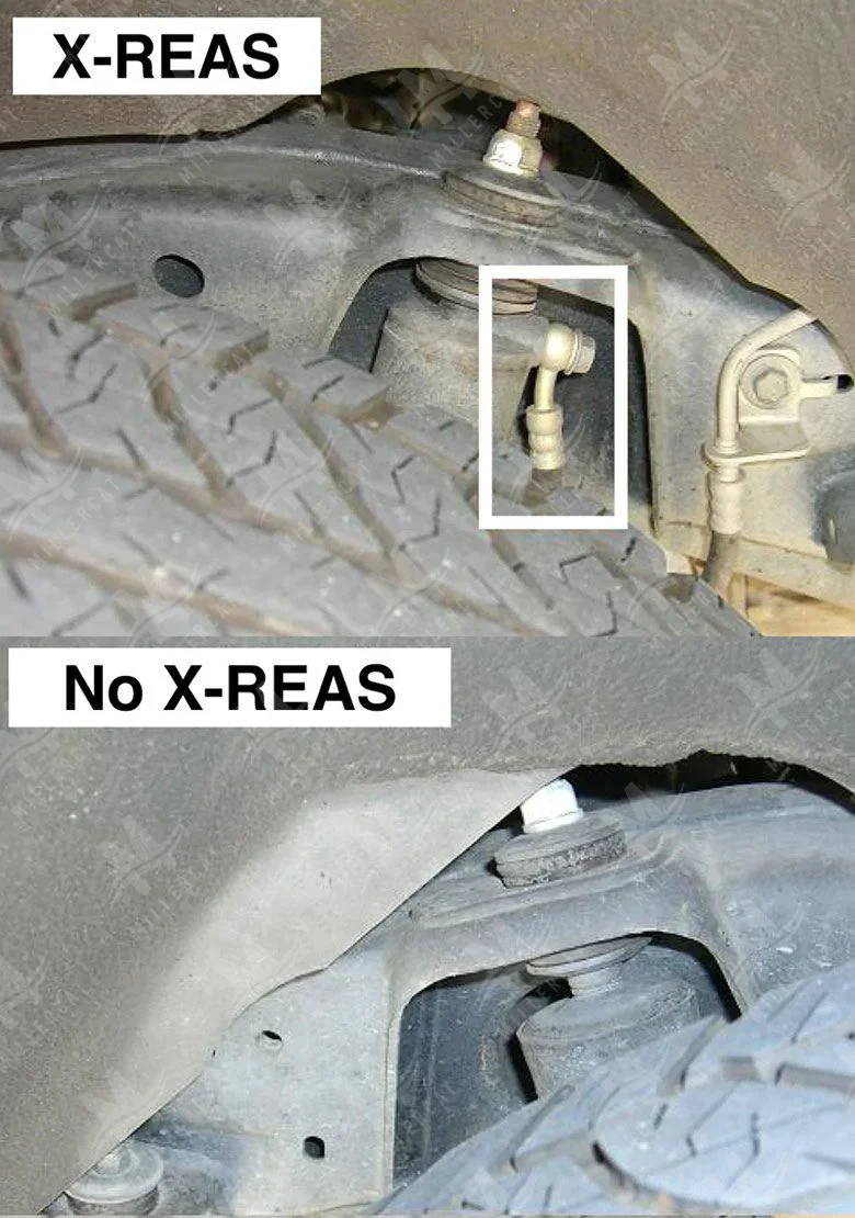 MillerCat Toyota 4Runner Cat Shield (2014-2024) - Image 9